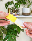 Compostable Gnat Traps - "We The Wild"