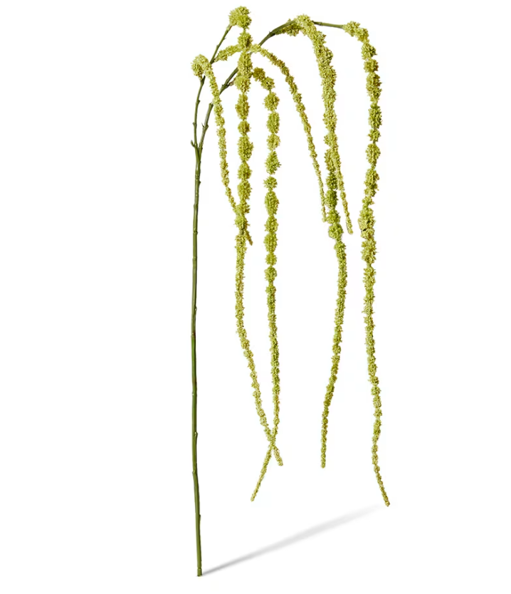 Amaranthus Hanging Spray Green 16x16x147cm