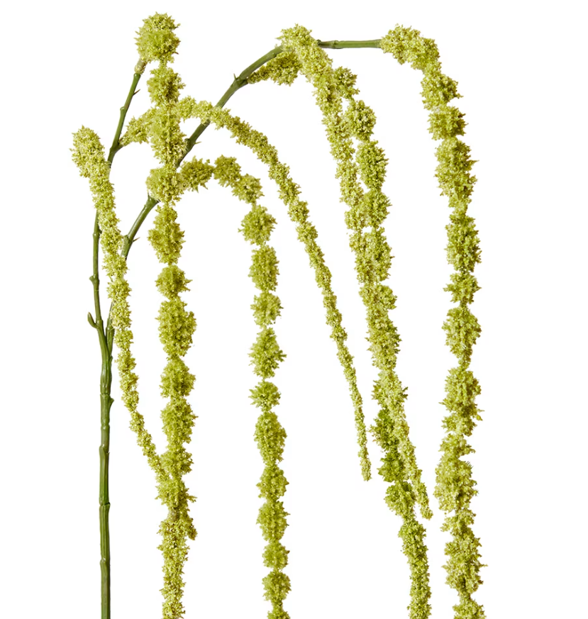 Amaranthus Hanging Spray Green 16x16x147cm