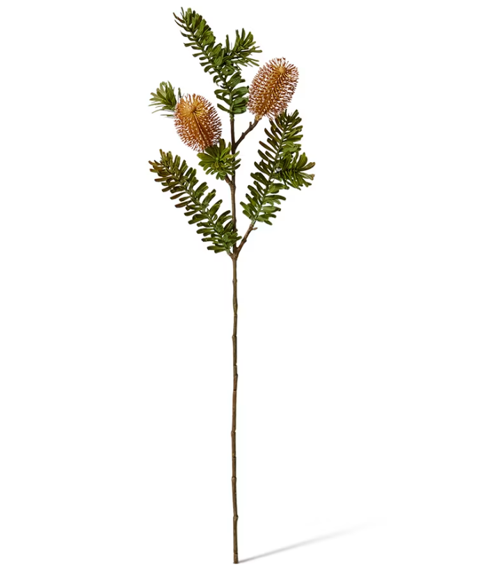 Banksia Spray Rust 20x9x66cm