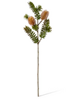 Banksia Spray Rust 20x9x66cm