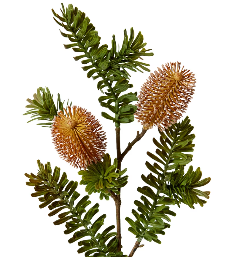 Banksia Spray Rust 20x9x66cm