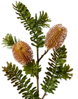 Banksia Spray Rust 20x9x66cm