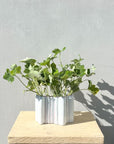 Mode Cloud Vase - Small