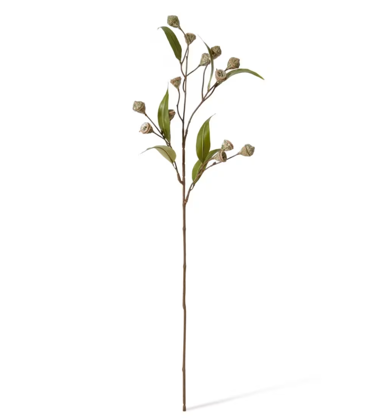 Eucalyptus Gum Nut Stem Grey Green 20x5x72cm