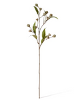 Eucalyptus Gum Nut Stem Grey Green 20x5x72cm