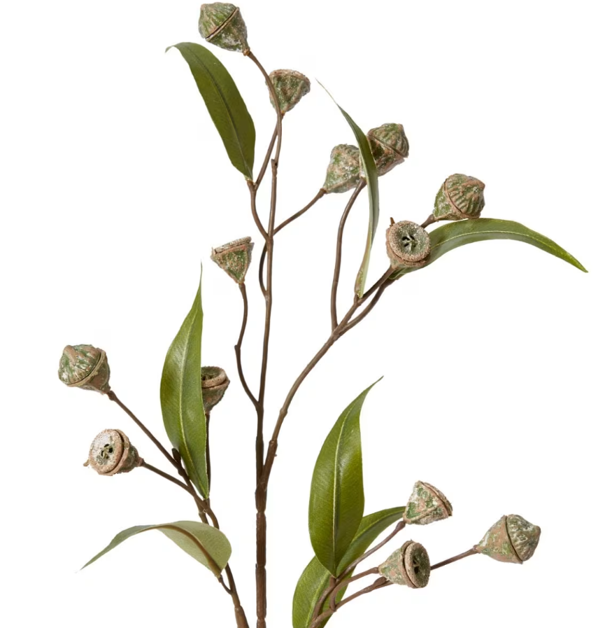Eucalyptus Gum Nut Stem Grey Green 20x5x72cm