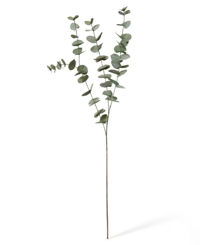 Eucalyptus Spray Grey Green 15x5x100cm