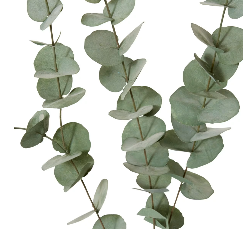 Eucalyptus Spray Grey Green 15x5x100cm