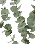 Eucalyptus Spray Grey Green 15x5x100cm