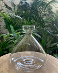 Propagation vase - Clear - 15cm