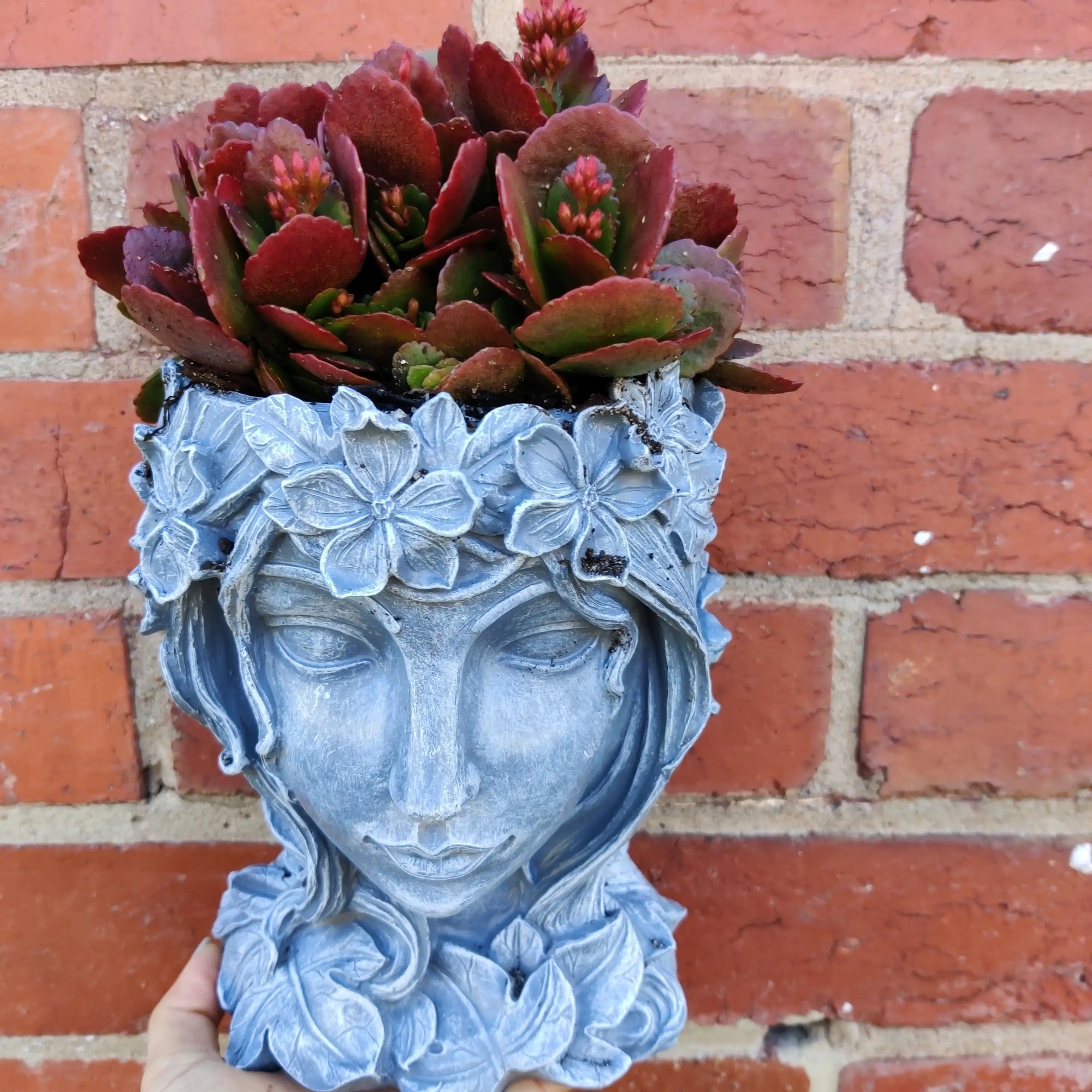 Grecian Head Planter - Plant K Folia House