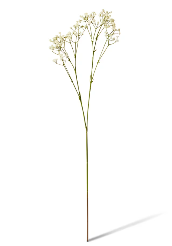 Gypsophila Spray 28x16x74cm