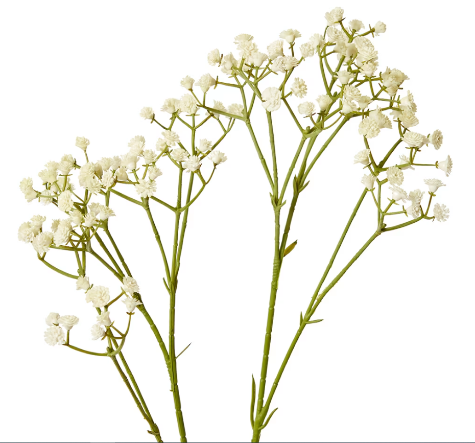 Gypsophila Spray 28x16x74cm