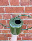 Watering Can Green - 1.5L