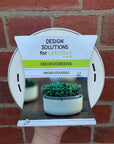 Microgreen Kit - Micro-pousses - 15x15cm