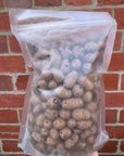 Expanded Clay Balls - 2 liter bag
