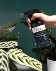Indoor Plant Food - Foliar Spray - The Home Plant Co. Folia House