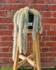 Monkey tail cactus - 15cmHB Folia House