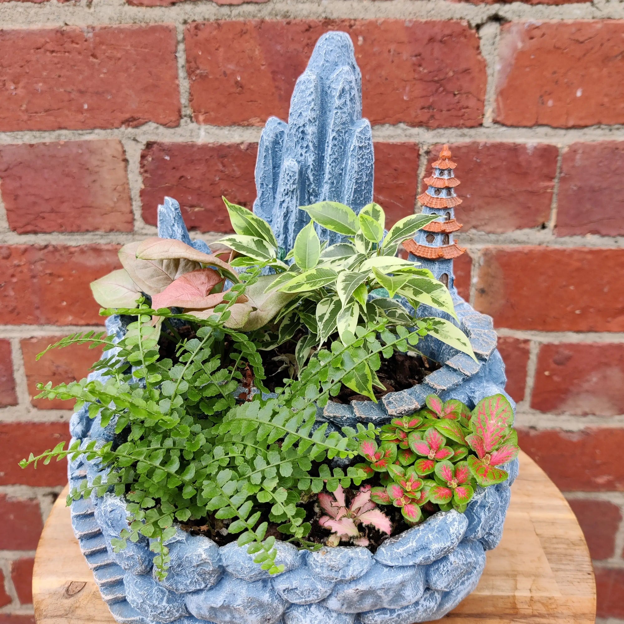 Novelty Planter - Indoor planter Folia House