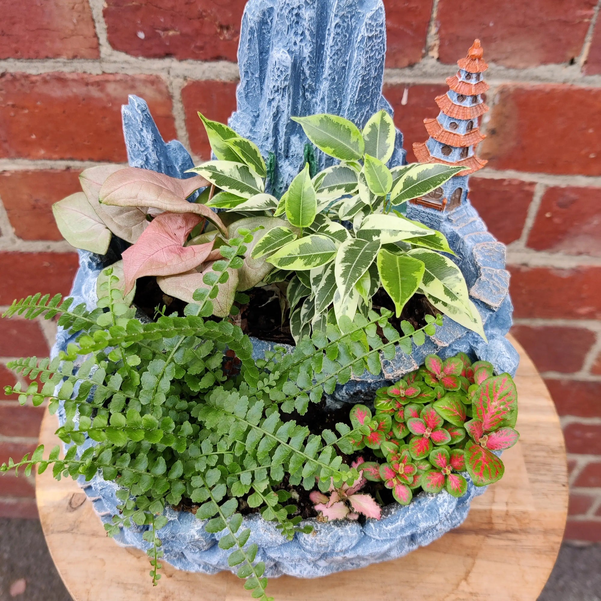Novelty Planter - Indoor planter Folia House