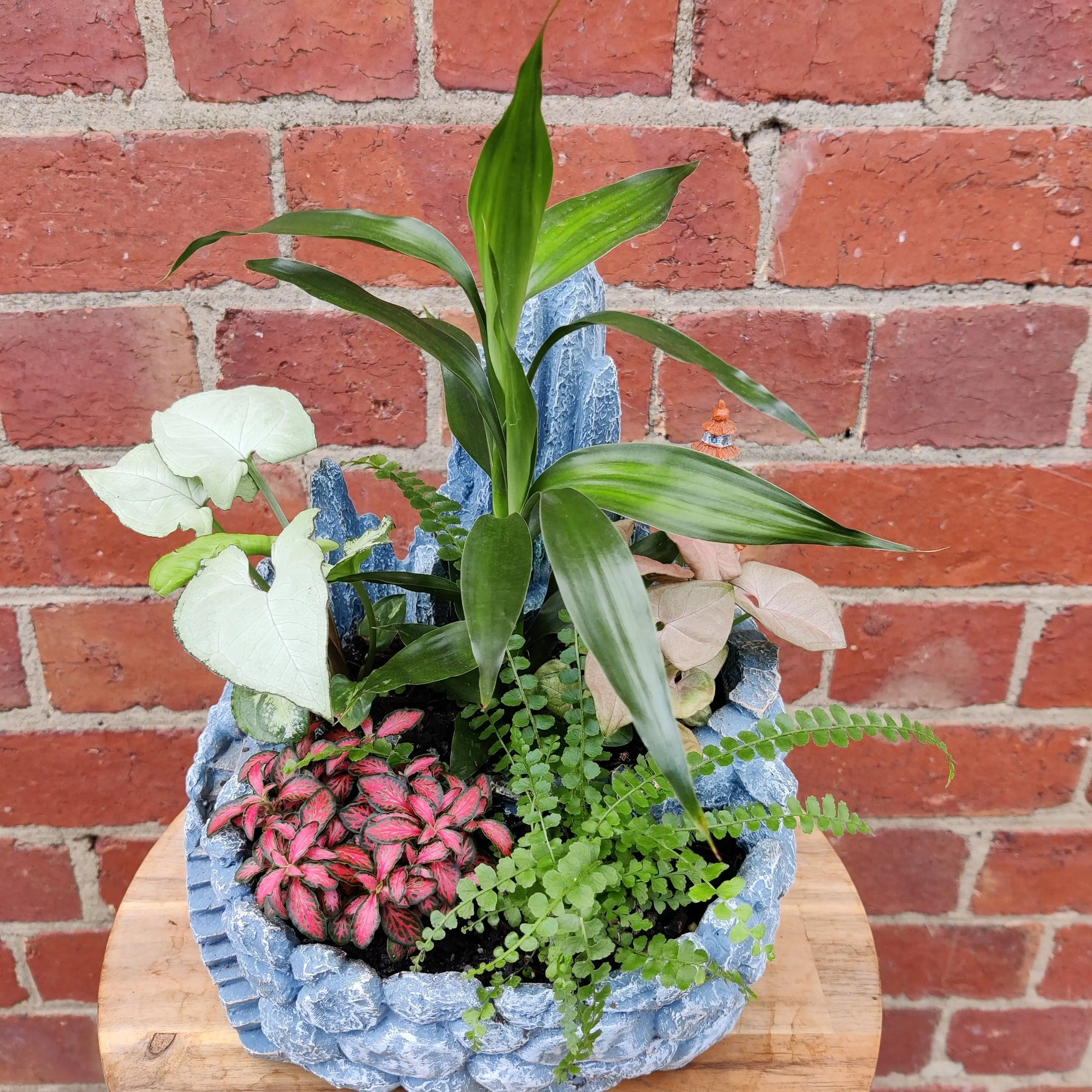 Novelty Planter - Indoor planter Folia House