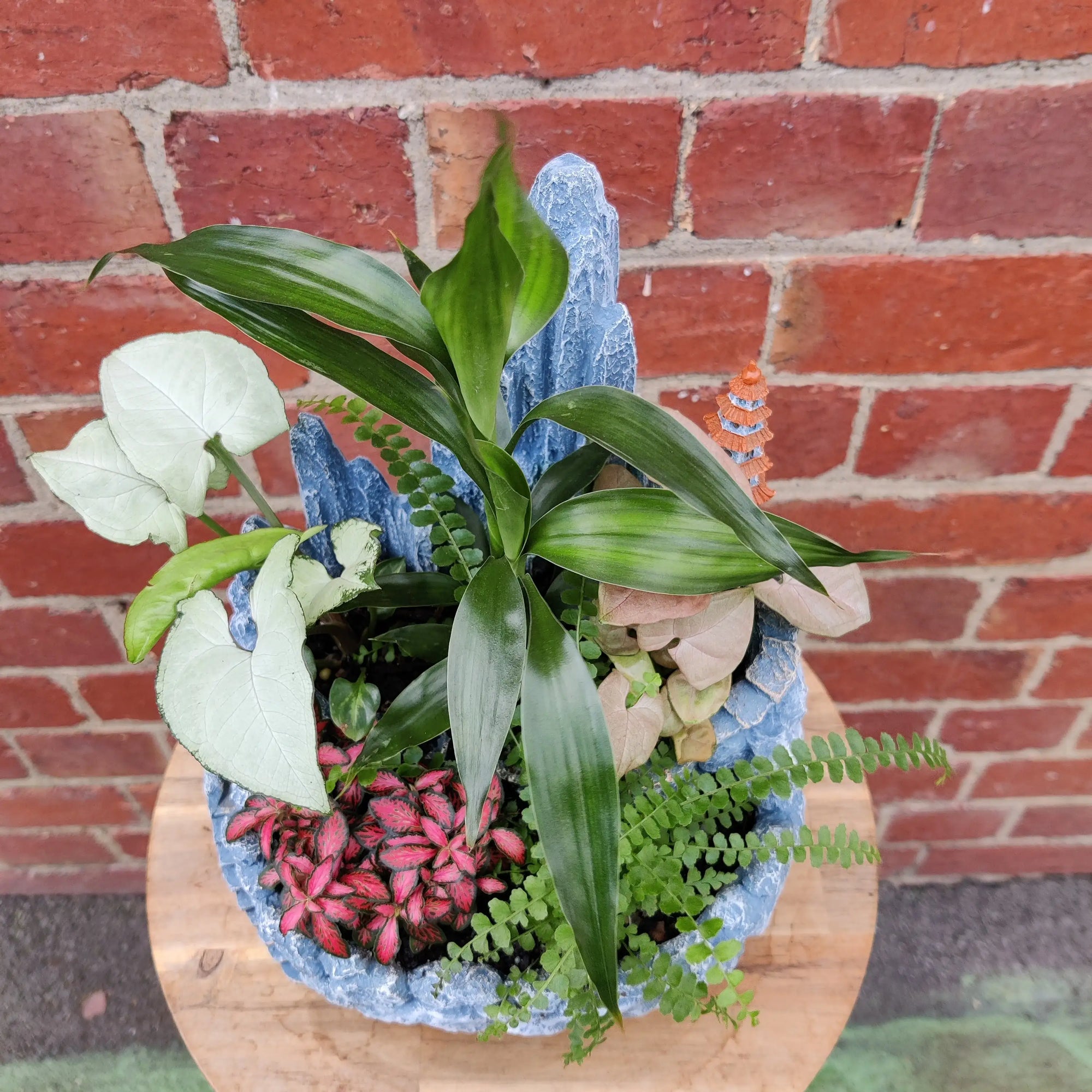Novelty Planter - Indoor planter Folia House