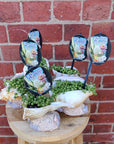 Novelty Planter Folia House