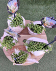 Novelty Planter Folia House