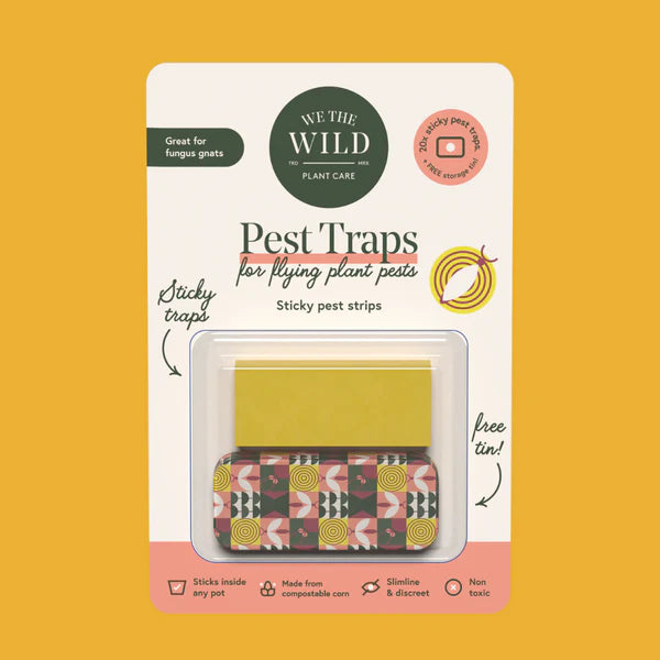 Compostable Gnat Traps - "We The Wild"