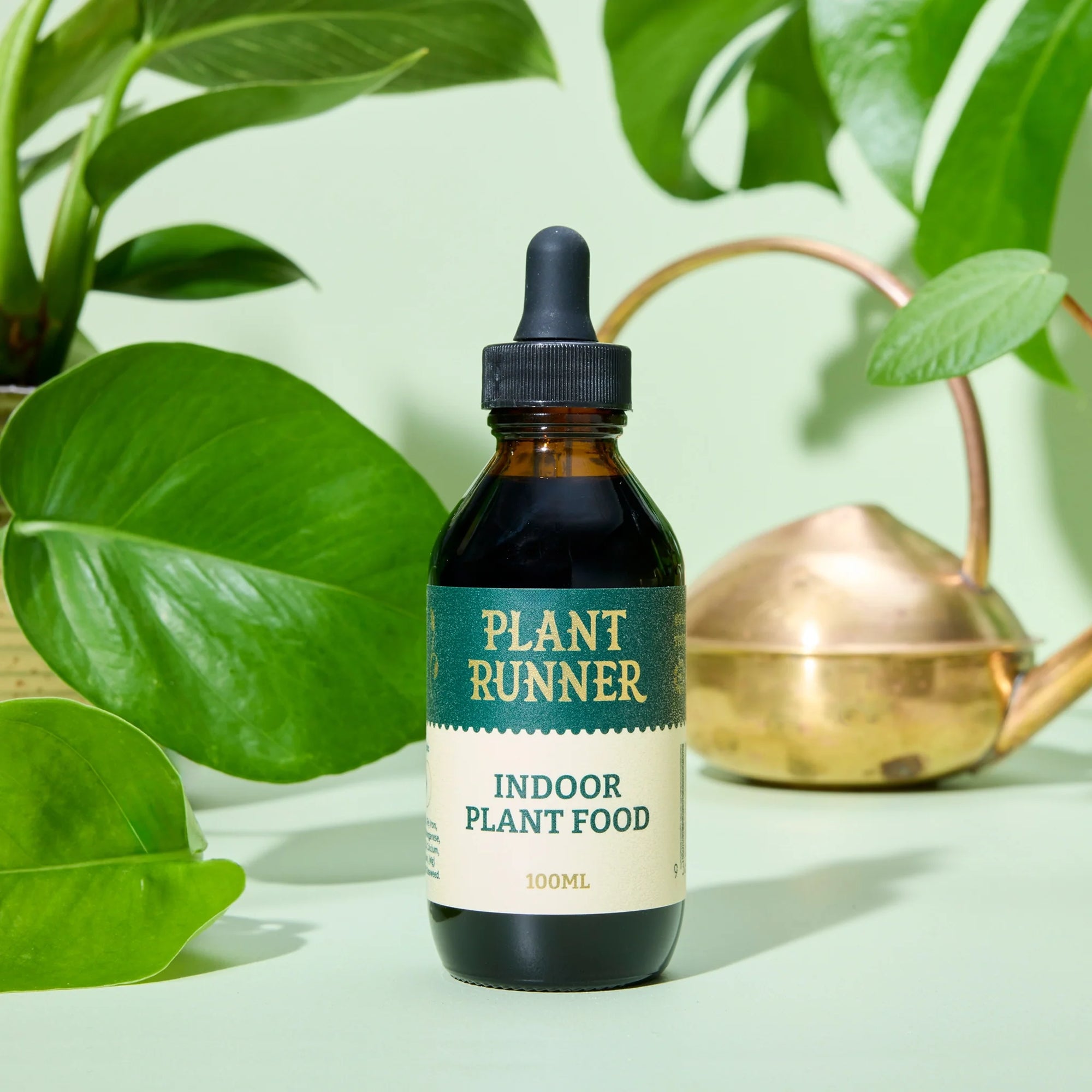 Indoor Plant Food - The Plant Runner
