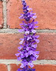 Salvia Mystic Spires Sage - 14cm pot Folia House