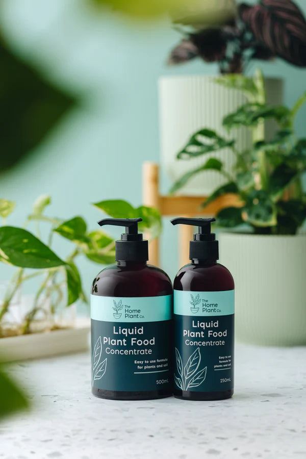 Liquid Plant Food Concentrate - The Home Plant Co. - 250ml