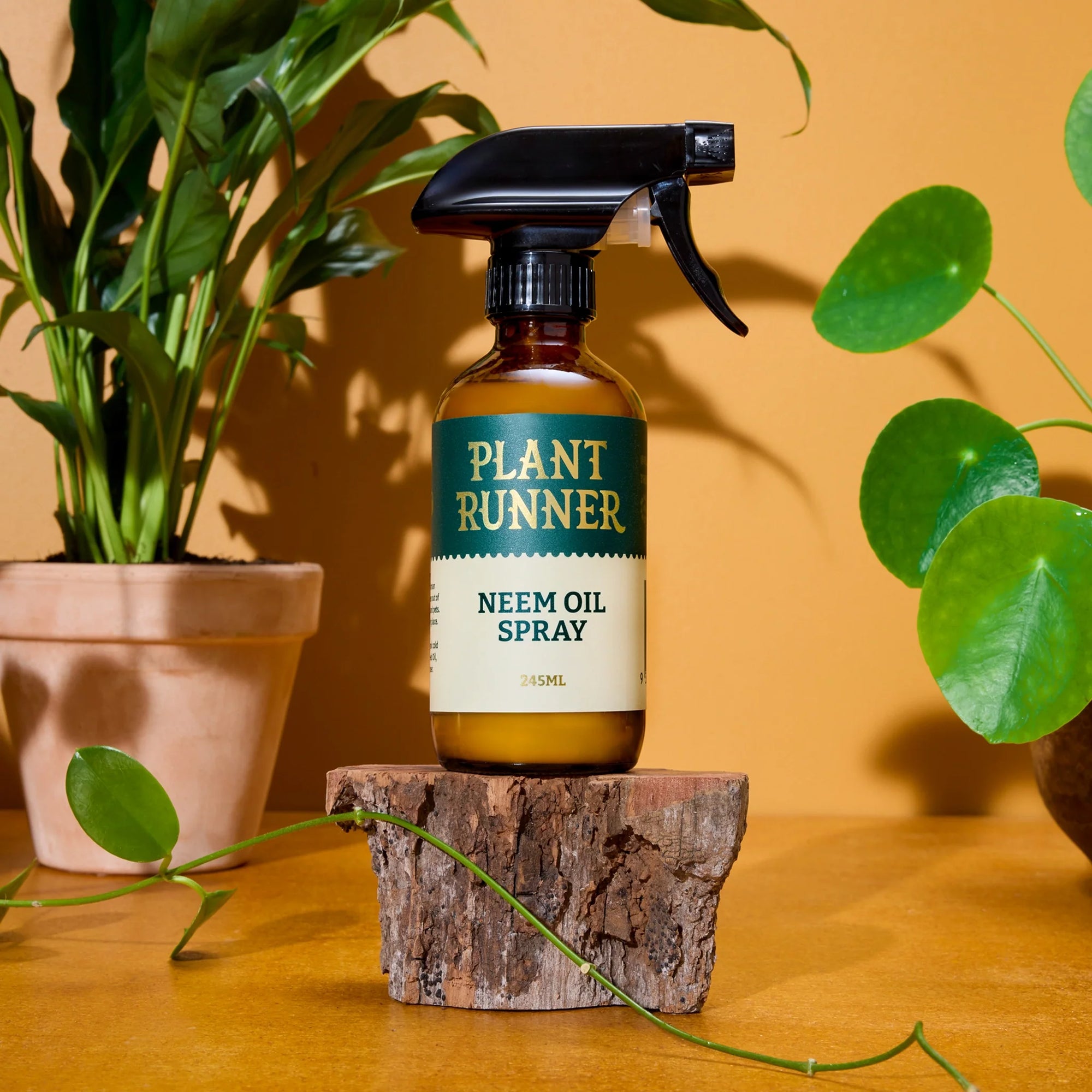 Neem Oil Leaf Shine - The Plant Runner