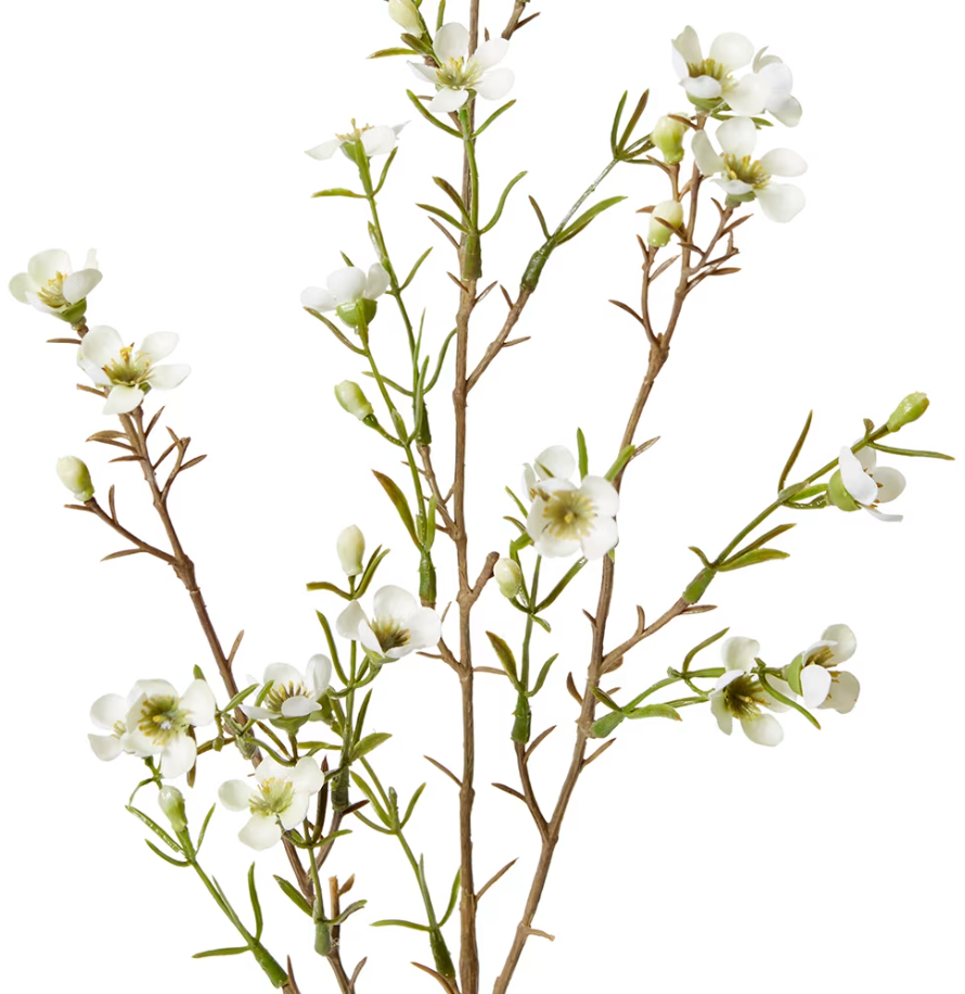 Wax Flower Spray White 20x5x79cm