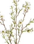 Wax Flower Spray White 20x5x79cm