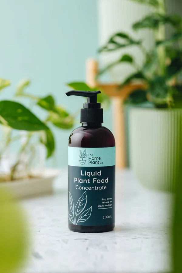 Liquid Plant Food Concentrate - The Home Plant Co. - 250ml