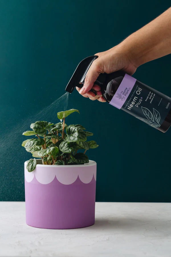 Neem Oil Plus+ - The Home Plant Co. - 500ml