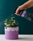 Neem Oil Plus+ - The Home Plant Co. - 500ml