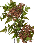 Pepper Berry Spray Brown 50x30x94cm