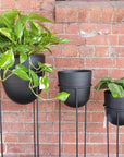 Black Metal Planter With Round Stand Folia House