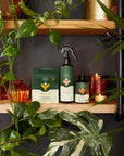 Essential Plant Care Kit - "We The Wild" Folia House