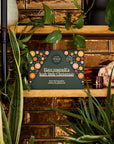 Essential Plant Care Kit - "We The Wild" Folia House