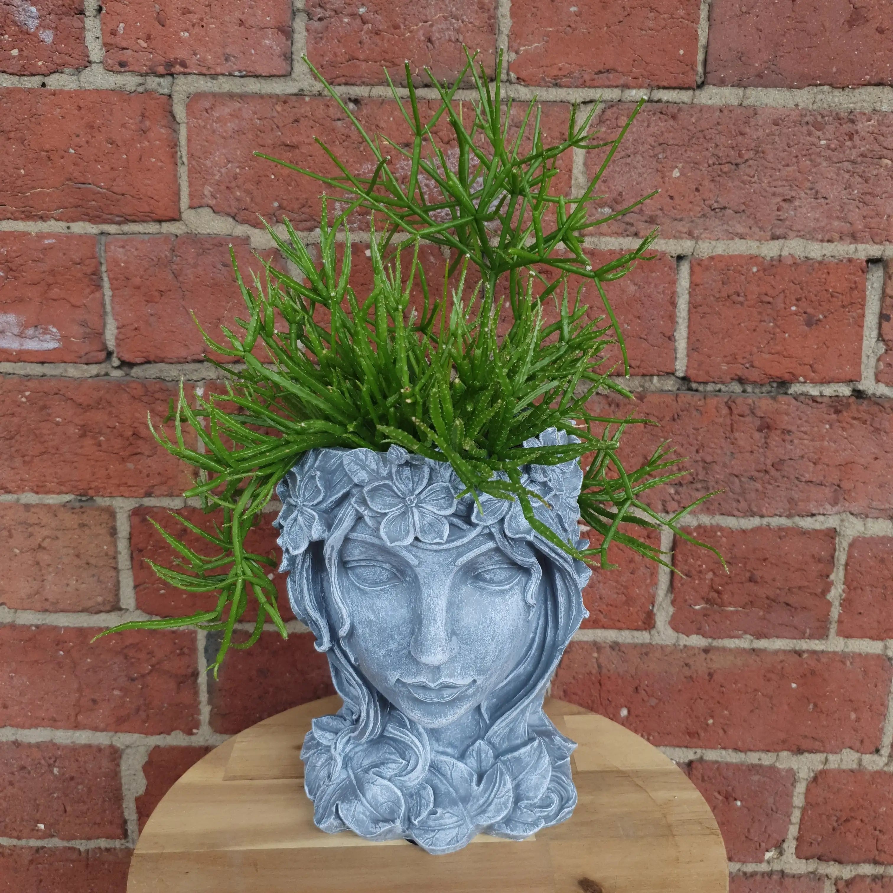 Grecian Head Planter Plant E Folia House