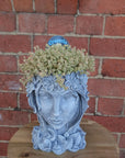 Grecian Head Planter - Plant H Folia House
