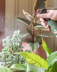 Protect Spray with Neem - 250ml - "We The Wild" Folia House