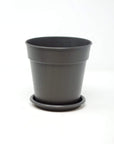Round saucer anthracite Folia House