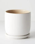 Pot Cavo w/saucer - White - 15cmD