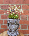 Grecian Head Planter - Plant O