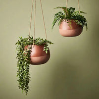 Bowl Iosetta Hanging - Chestnut - 21cmD Folia House